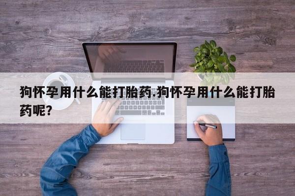 流产药网上购买狗怀孕用什么能打胎药.狗怀孕用什么能打胎药呢？