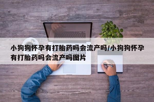 流产药网上购买资讯 第17页