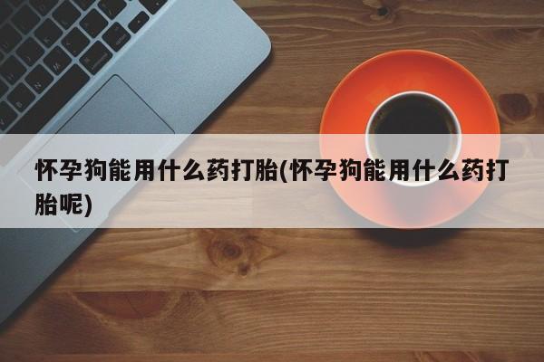 流产药网上购买怀孕狗能用什么药打胎(怀孕狗能用什么药打胎呢)